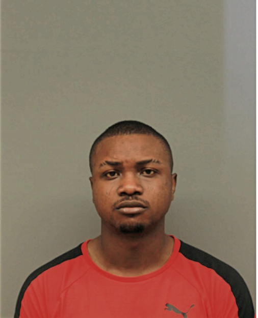 VICTOR R ADEBISI, Cook County, Illinois