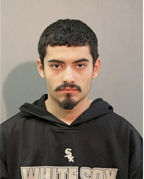 MICHAEL ALARCON, Cook County, Illinois
