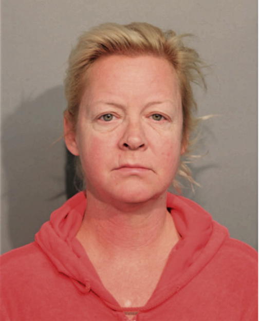 KIMBERLY A ALM, Cook County, Illinois