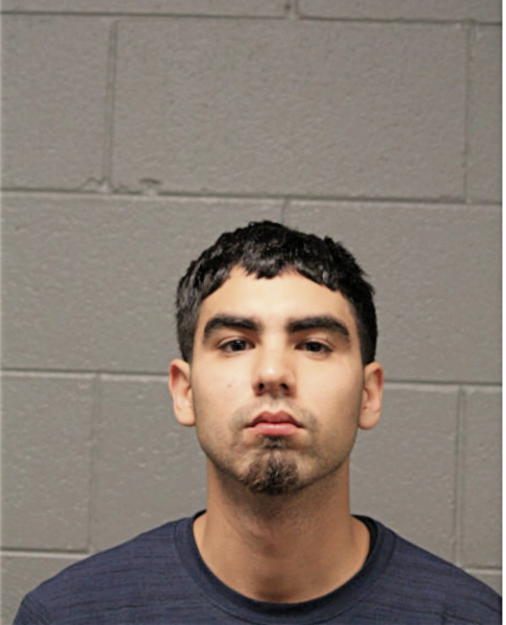 BRANDON ANAYA, Cook County, Illinois