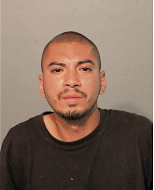 ANTHONY ARGUETA, Cook County, Illinois