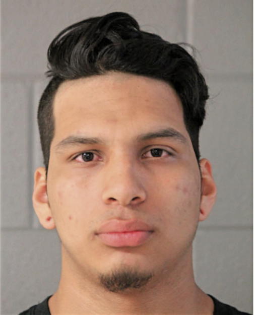 AGUSTIN ARRVIZO, Cook County, Illinois
