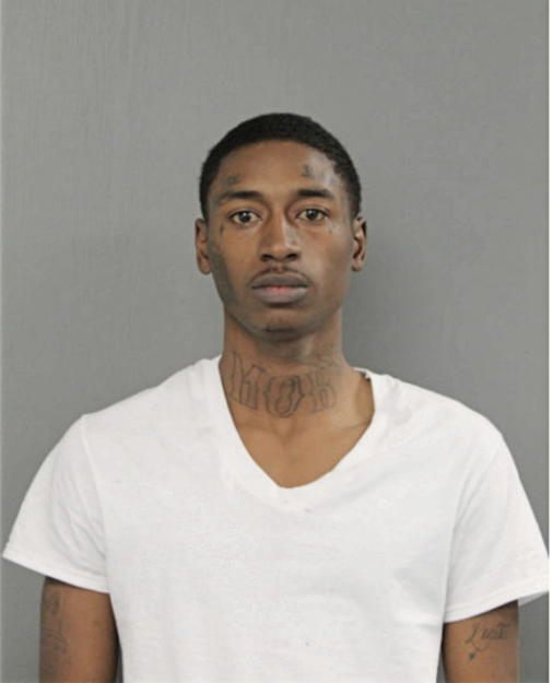 LAKI L BABER, Cook County, Illinois