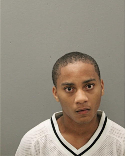 MATTHEW M BRIDGEMAN, Cook County, Illinois