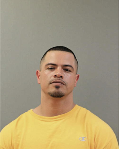 OMAR M CHAIDEZ, Cook County, Illinois