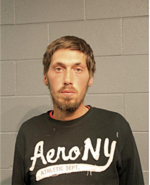 MICHAEL J DAMICO, Cook County, Illinois