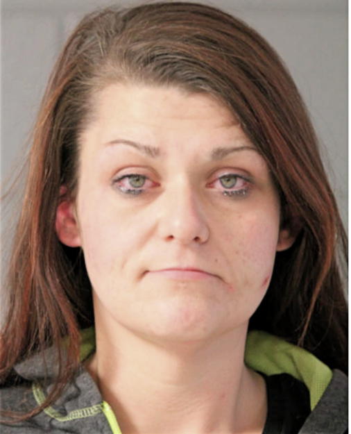 CATHERINE A DOLEHIDE, Cook County, Illinois