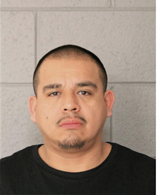 DANIEL FERNANDEZ, Cook County, Illinois