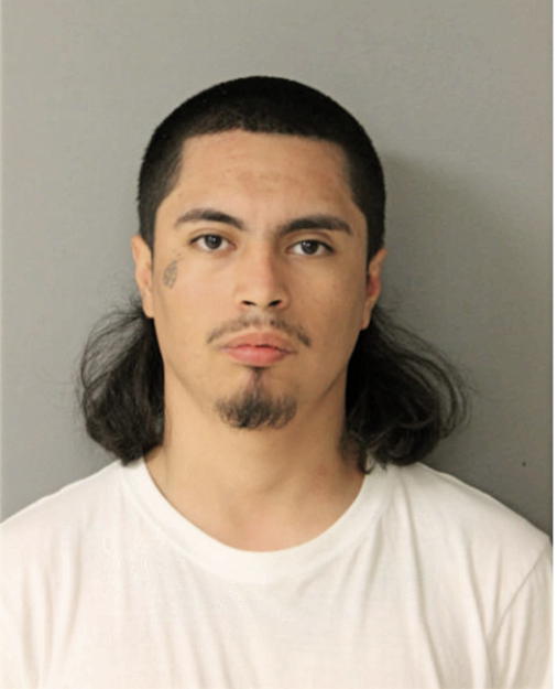CHRISTIAN A GARZA, Cook County, Illinois