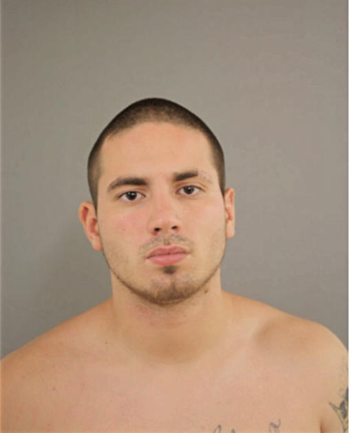 WALTER GONZALEZ, Cook County, Illinois