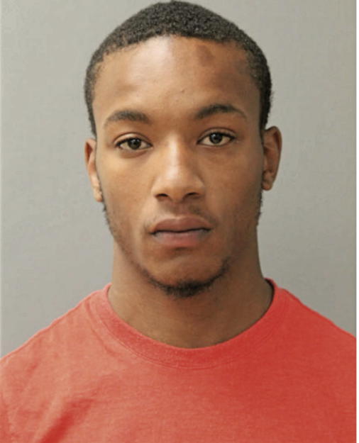 MICHAEL W GRAY, Cook County, Illinois