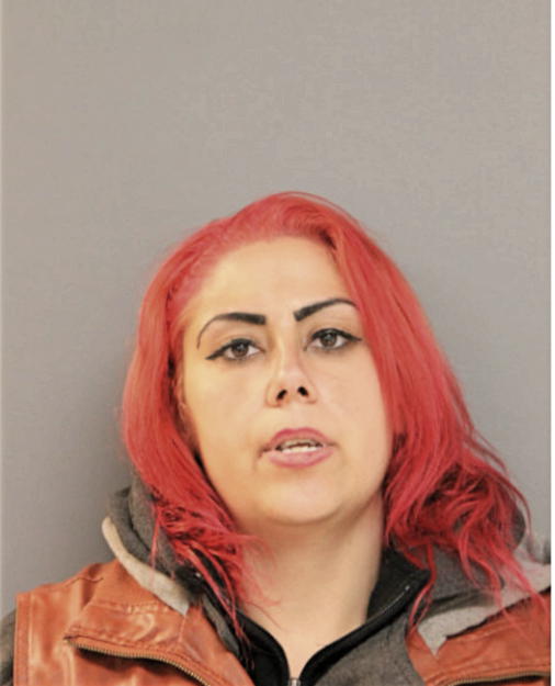 KATIE HAJ, Cook County, Illinois