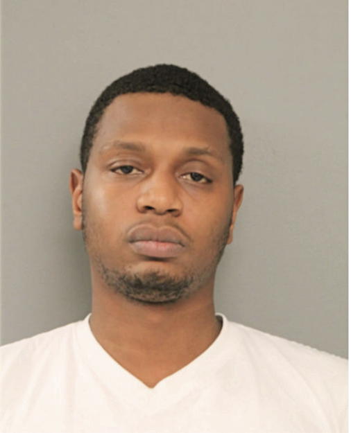 CHRISTOPHER A HAMILTON, Cook County, Illinois