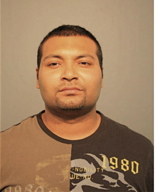 ARSLAN A HAYAT, Cook County, Illinois