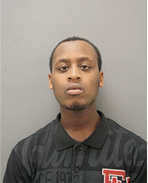 TERRANCE T HOLMES, Cook County, Illinois