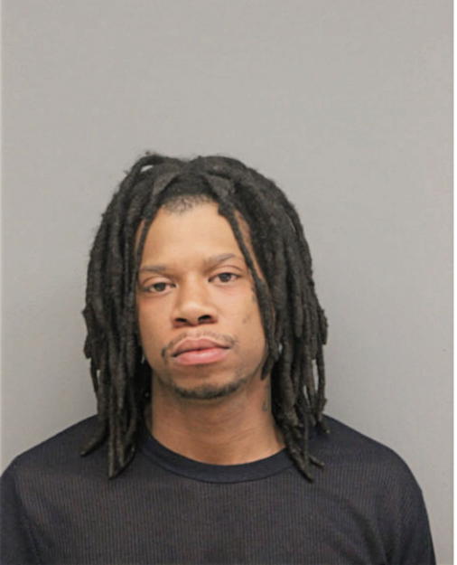 JONELL E KING, Cook County, Illinois