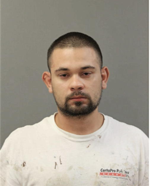 ANGEL Y LOPEZ, Cook County, Illinois