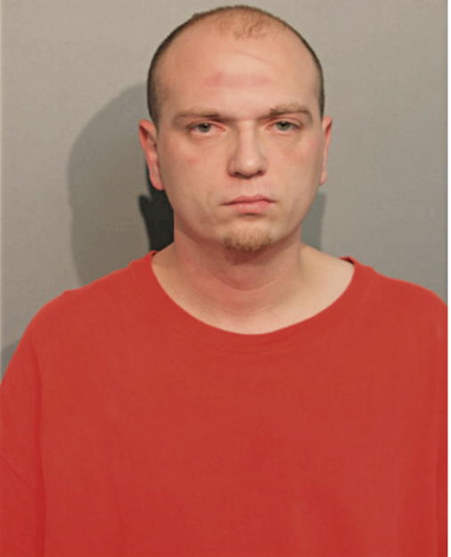 FERDINAND SPOREA, Cook County, Illinois