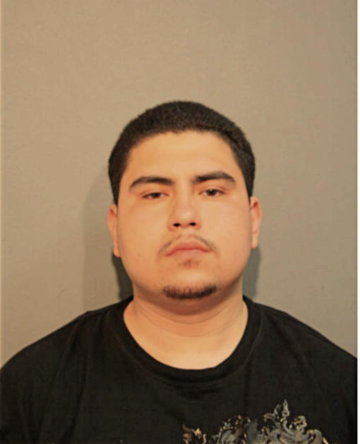 DEAN J TREVINO, Cook County, Illinois