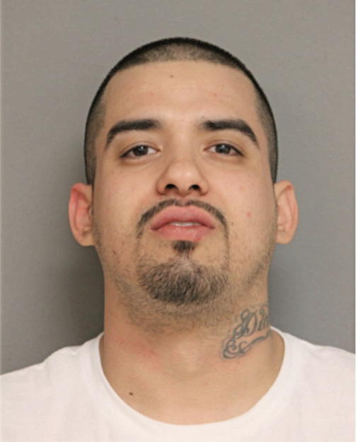 JAMIE VILLA, Cook County, Illinois