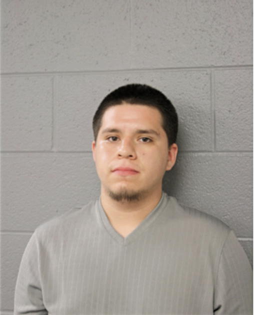 CHRISTIAN M CABALLERO, Cook County, Illinois