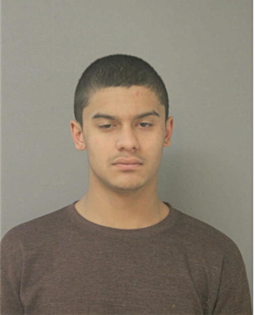 JUSTIN FEJERANG, Cook County, Illinois