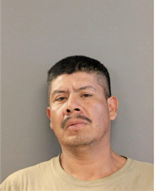 SALVADOR GALVEZ, Cook County, Illinois