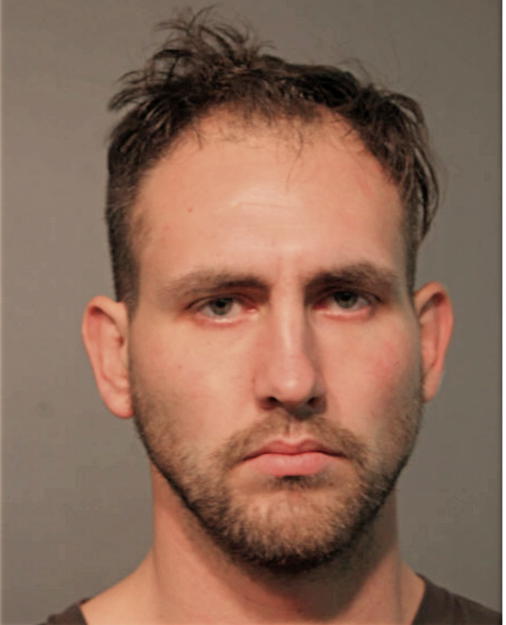 ANDREW D HAUSSLER, Cook County, Illinois