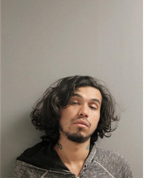 ERIC HERNANDEZ, Cook County, Illinois
