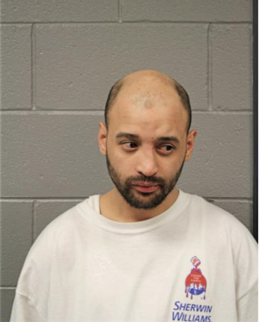 LUIS G HERNANDEZ, Cook County, Illinois