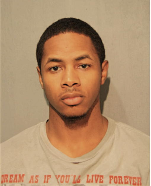 DAVID T HOLBERT, Cook County, Illinois