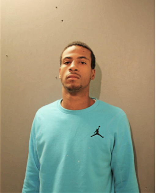MICHAEL T JONES, Cook County, Illinois