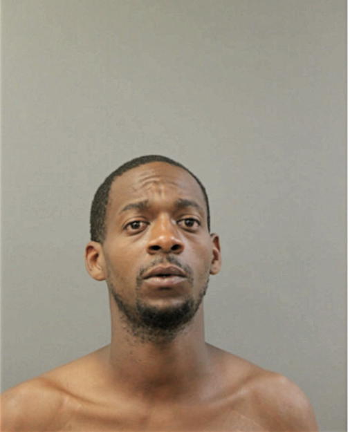 MARIO J L EPHRAIM, Cook County, Illinois