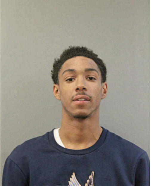 MICHAEL A LARRY, Cook County, Illinois