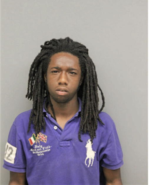 DARNELL J MCGEE, Cook County, Illinois