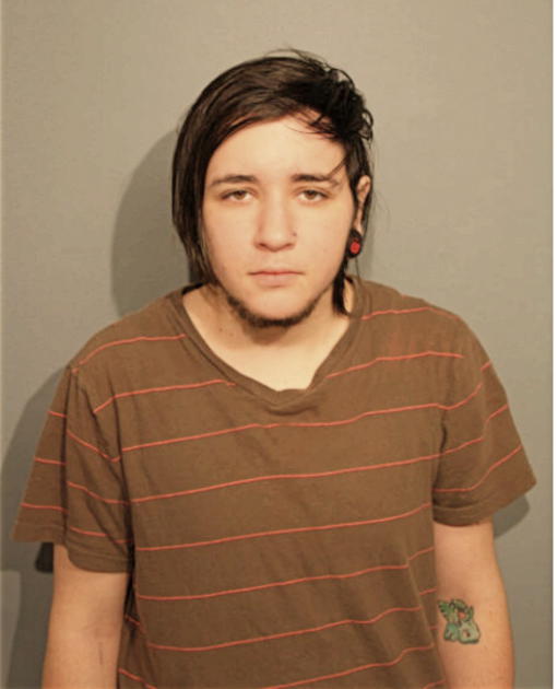TAYLON N MONTALBANO, Cook County, Illinois