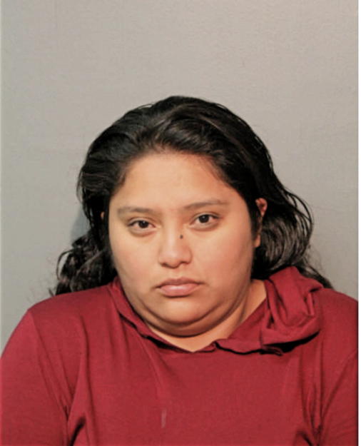 ELENA D PATINO-GOMEZ, Cook County, Illinois