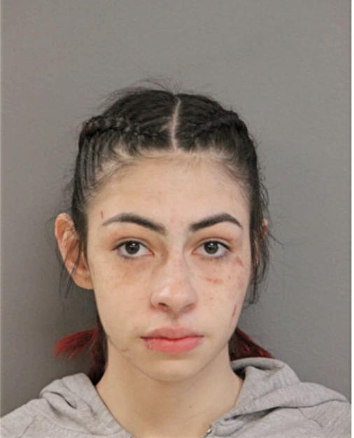 NICOLE S HAMIDEN, Cook County, Illinois