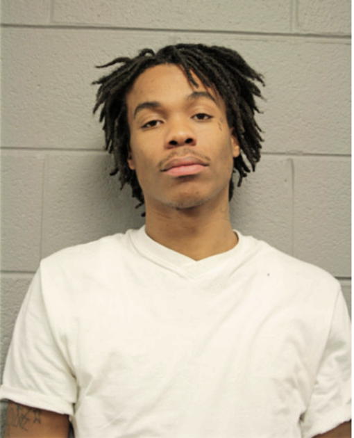 LEE J STEVENSON, Cook County, Illinois