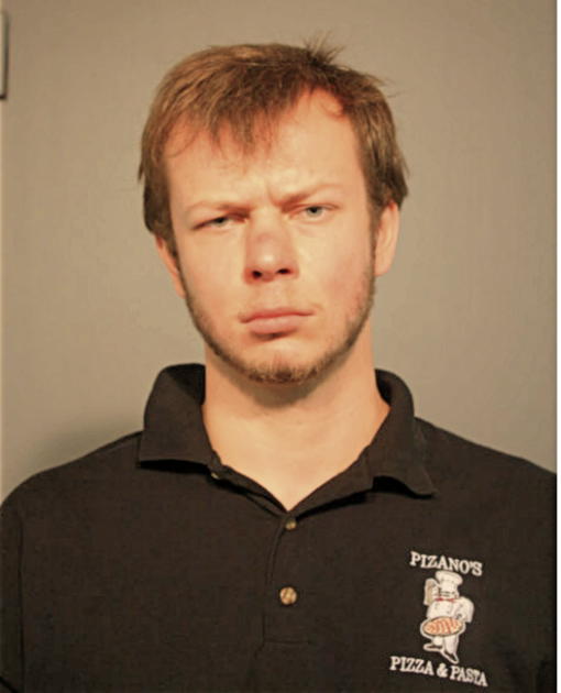 PIOTR D TRACZEK, Cook County, Illinois