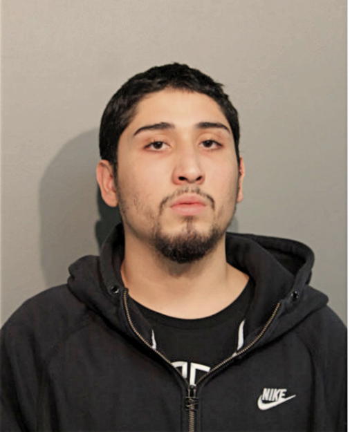 FREDY U TRUJILLO, Cook County, Illinois