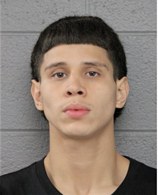 CHRISTIAN VELIZ, Cook County, Illinois