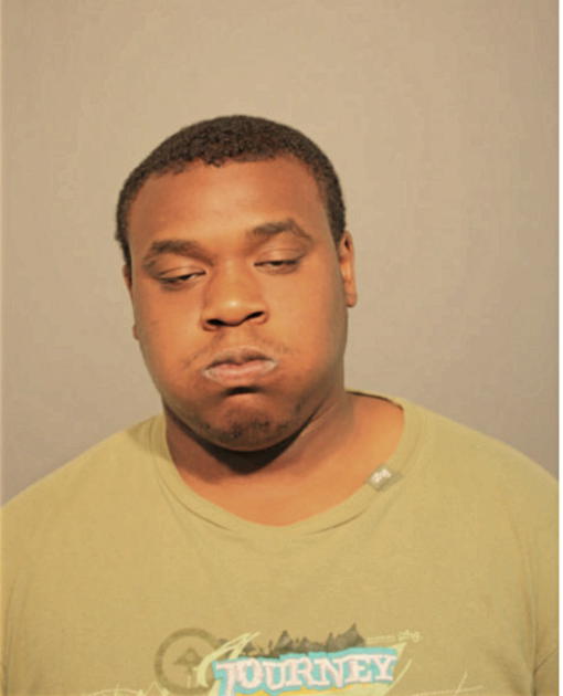 BABATUNDE A ADEOYE, Cook County, Illinois