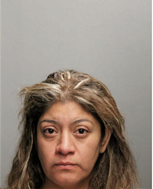 ROSALVA ANAYA, Cook County, Illinois