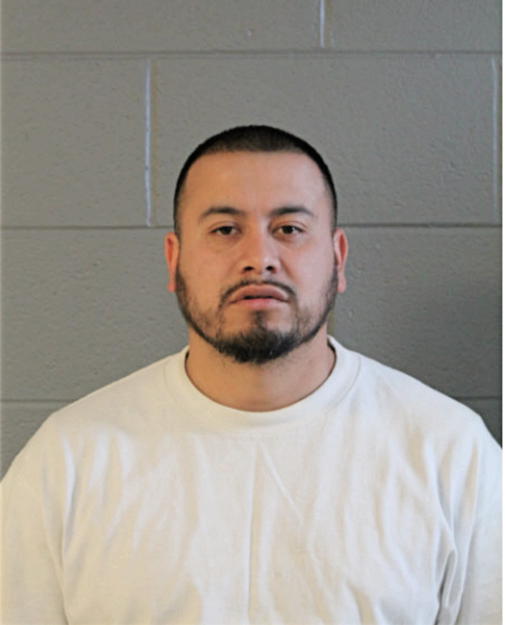 JUIAN ANGUIANO, Cook County, Illinois