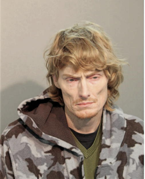 ANDREW B ARNOLD, Cook County, Illinois