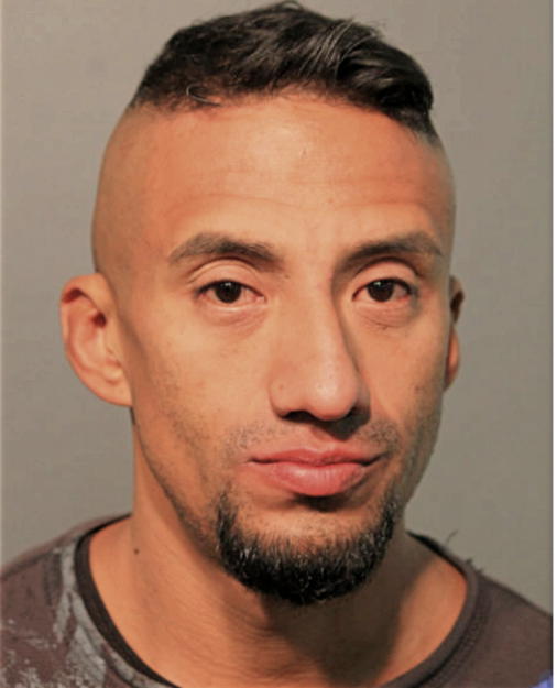 NELSON A BENITEZ, Cook County, Illinois