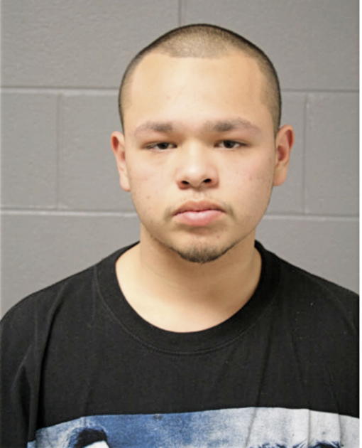 RICK CARLO, Cook County, Illinois