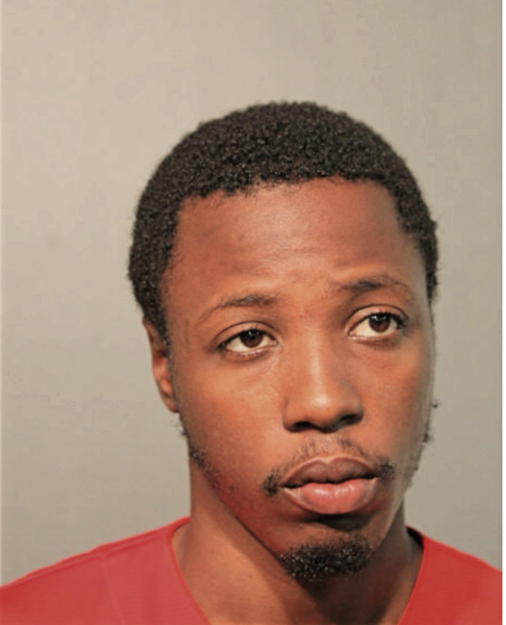 DION COOK, Cook County, Illinois