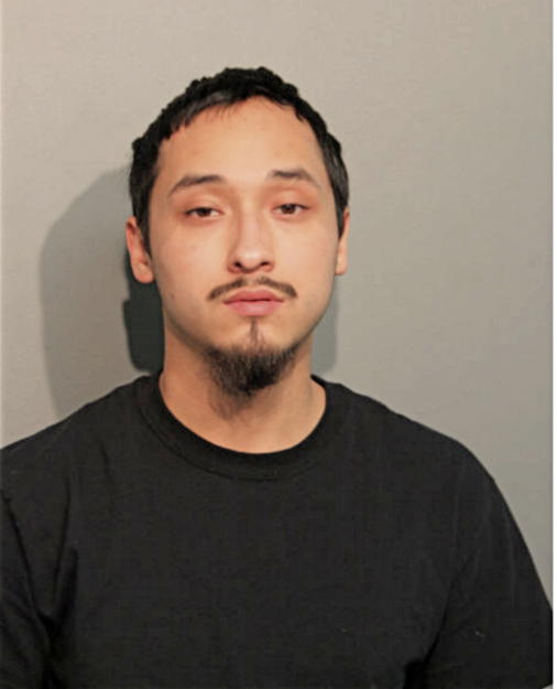 CARLOS CORONA, Cook County, Illinois